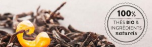 blog bio et bien-être