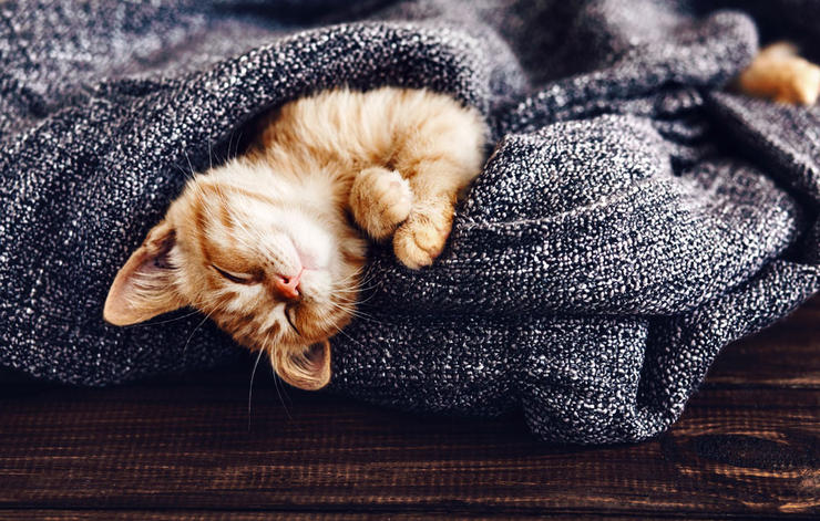 Le « Hygge » : le concept du bonheur scandinave
